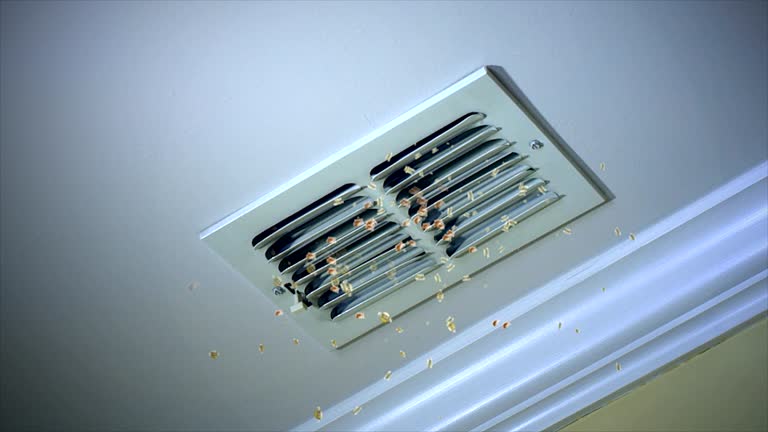 Best HVAC Duct Inspection Services  in Reedley, CA