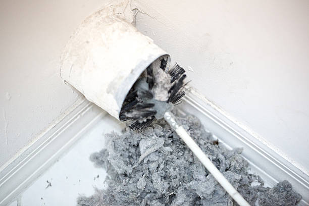 Best Residential Air Duct Cleaning  in Reedley, CA